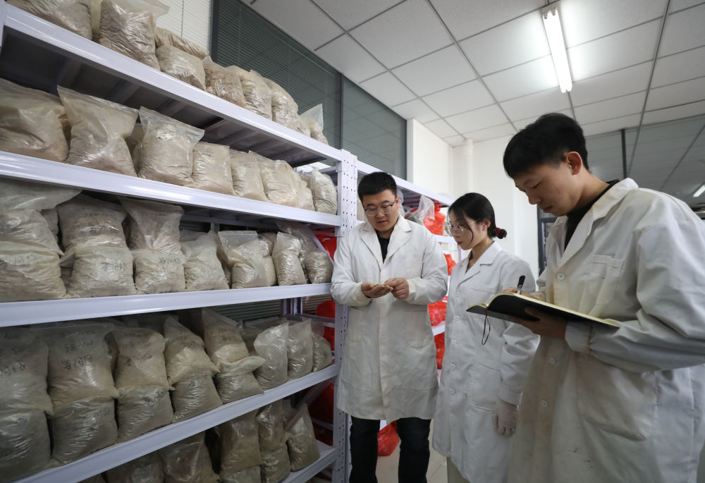 新华全媒＋丨探访每日吃瓜
土肥高效利用国家工程研究中心