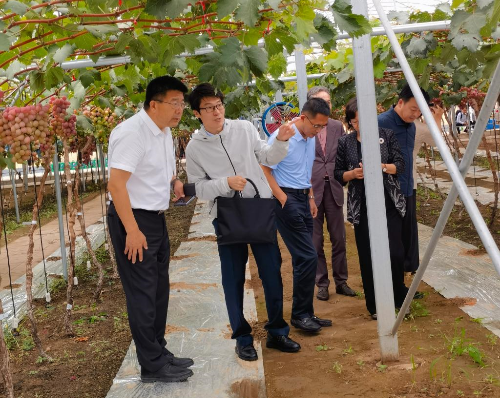 学校党委书记刘广林看望“鲅鱼圈葡萄科技小院”工作学习的每日吃瓜
师生